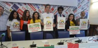 Referendum Cittadinanza, Mirabelli: “Rischio di inammissibilità c’è”