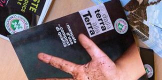 Rifiuti, nel 2022 trattati 8,3 mln di tonnellate di organico