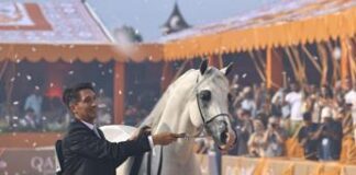 Roma, confermato il Global Champions Arabians Tour al Circo Massimo
