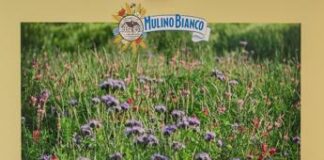 Sostenibilità, concorso ‘I Fiori del Mulino’: premio ai campi fioriti più belli
