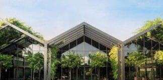 Sostenibilità, da Net Zero a biodiversità: gli obiettivi Davines al 2030