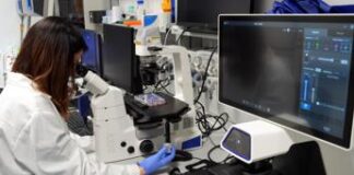 Staminali, trapianto in 25enne ‘azzera’ diabete tipo 1