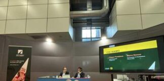 Startup, Generazione Z e il mercato del lavoro: Sfide e opportunità raccolte da Atheljo, la nuova agenzia per il lavoro