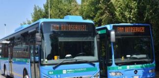 Trasporti: patente a carico dell’azienda e premio di 3.000 euro, Fnma cerca autisti