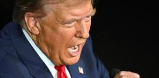 Trump e il dibattito tv, migranti a Springfield mangiano gatti? “Ecco le prove”