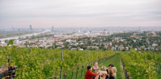 Turismo, alla scoperta dei vigneti viennesi