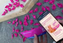 Secondo un noto sito di recensioni di escort, i Padovani sono ottimi marinai. In provincia approda un mare di barchette fucsia Un mare di barchette fucsia a Padova per le escort