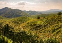 Unesco, Airbnb e Associazione Patrimonio Colline del Prosecco, patto per promuovere il sito