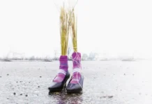 Invalido ma migliora, l’INPS revoca l’assegno: un caso a Vicenza invalido assegno inps vicenza