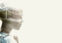 Agsm Aim Energia: nuova soluzione rinnovabile per aziende Agsm Aim Energia