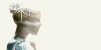 Agsm Aim Energia: nuova soluzione rinnovabile per aziende Agsm Aim Energia