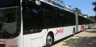 Bonus trasporti per abbonati residenti a Vicenza, domande dall’1 al 31 ottobre bonus trasporti, un pullman svt