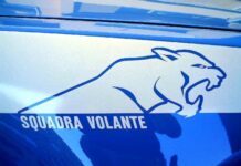 Ruba l’incasso ai mercatini di Natale di Vicenza: intercettato e denunciato dalla Polizia di Stato ruba ai mercatini di natale, fermato e denunciato dalla polizia vicenza stupefacente