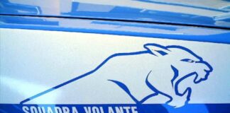 Vicenza, si avvicina alla ex violando il divieto: in arresto cittadino italiano ruba ai mercatini di natale, fermato e denunciato dalla polizia vicenza stupefacente