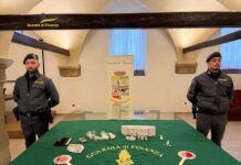 Guardia di Finanza di Vicenza: due arresti a Camisano Vicentino. Sequestrate cocaina, marijuana e sigarette elettroniche con Thc Guardia di Finanza di vicenza sequestro stupefacenti e arresti a Camisano