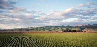 Agricoltura e biodiversità, un piccolo passo verso la neutralità carbonica