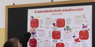 Alla scoperta di biodiversità e rinnovabili, al via il Progetto Scuole E.On