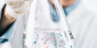 Ambiente, le microplastiche si respirano, trovate nell’alito dei delfini