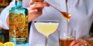 Arriva ‘Silent pool’, un gin amico delle api che parla anche italiano e adora il miele