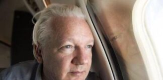 Assange parla al Consiglio d’Europa, è primo discorso pubblico dal rilascio