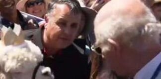 Australia, alpaca starnutisce addosso a re Carlo: l’esilarante reazione del sovrano – Video