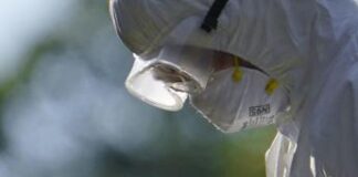 Aviaria, nuovi casi umani negli Usa: ‘colpito’ anche Stato Washington