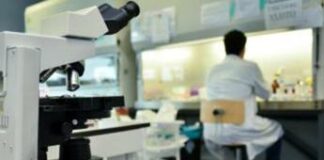 Cancro al colon, nuovo algoritmo prevede efficacia farmaci: come funziona