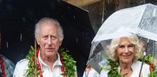 Carlo e Camilla in Australia, dalla palla da cricket a un peluche di koala: i ‘souvenir’ per i nipoti