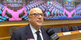 Cimmino Caserta (Plasmon): “Programma Academy modello condiviso”