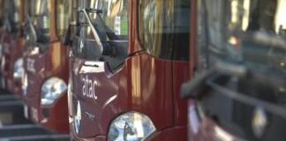 Cortei, maratona ed eventi culturali: il weekend da incubo della mobilità a Roma