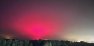 Crede di asistere all’aurora, ma è una fabbrica di pomodori: l”abbaglio’ colpa dei Led