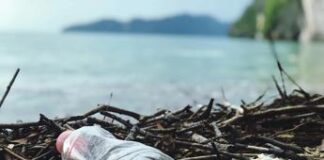 Dagli Usa una nuova bioplastica per ridurre l’inquinamento marino