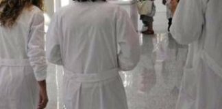 Ddl professioni, Gesualdo (Fism): “È una risposta concreta e attesa da medici”