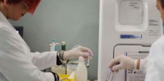 Dengue in Italia, ecco chi dovrebbe sottoporsi a test diagnosi