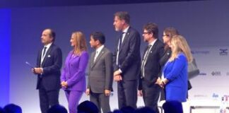 Digitale, Butti: “L’Ue punti sulle economie di scala”