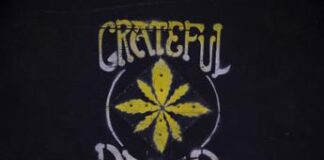 E’ morto Phil Lesh, il fondatore dei Grateful Dead aveva 84 anni