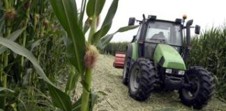 Emilia-Romagna: ricerca Adnkronos, per Di Gregorio: “Male sicurezza, bene occupazione”