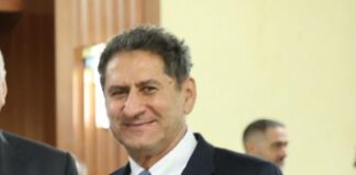 Energia, La Camera (Irena) su idrogeno: “Costi scendono ma domanda va incentivata”