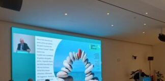 Energia eolica offshore, a Palermo siglati due memorandum fra Italia e Norvegia