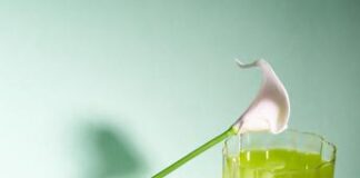 Fitline Activize Oxyplus Lemon-Lime – Edizione Limitata: La nuova polvere da bere