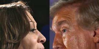 Harris-Trump, ultimi sondaggi: tycoon in testa nei 7 Stati chiave, ma la dem recupera