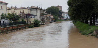 Maltempo in Veneto, Camani (Pd) attacca la Regione: “Zaia faccia meno tagli del nastro e stia di più con i piedi nel fango” maltempo, Camani accusa "Regione deve intervenire di più"