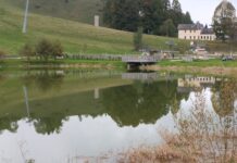 Il laghetto degli anfibi della Busa di Pizzegoro a Recoaro Mille Il laghetto della busa di Pizzegoro a Recoaro Mille. Foto Marta Cardini
