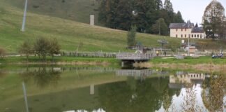 Il laghetto degli anfibi della Busa di Pizzegoro a Recoaro Mille Il laghetto della busa di Pizzegoro a Recoaro Mille. Foto Marta Cardini