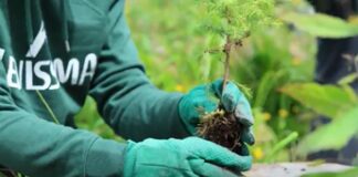 Inaugurata Foresta Levissima, progetto di riforestazione in Val di Fiemme