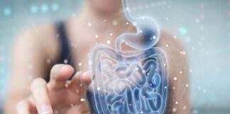 Infarto e ictus possono arrivare dall’intestino: la scoperta italiana