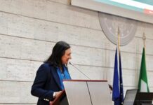 Mangiacavalli (Fnopi): “Sviluppare ricerca infermieristica su scala globale”