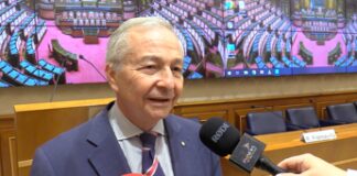 Marseglia (UniPv): “Dieta è terapia appannaggio di noi pediatri”