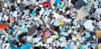 Microplastiche anche nel cervello, pari a un terzo di bottiglia
