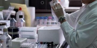 Mieloma multiplo, rimborsato in Italia primo anticorpo bispecifico